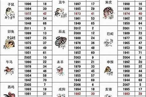 2000年 生肖|2000年1月出生属什么生肖